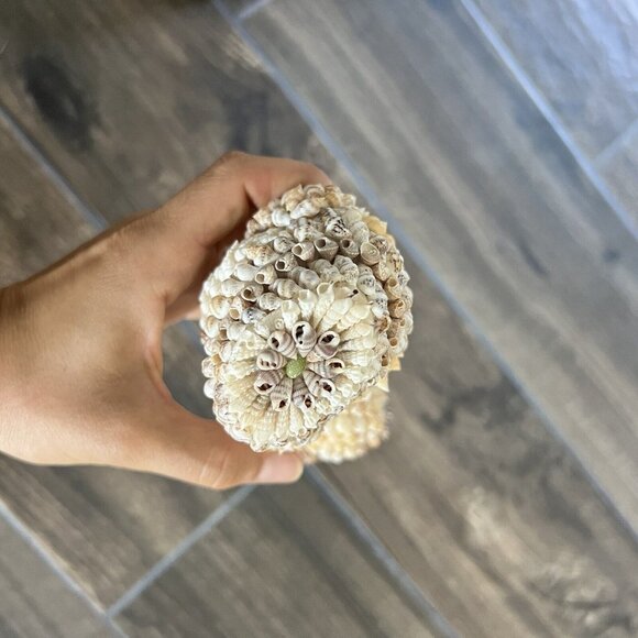 Vintage Dog w Hat * Made of Tiny Sea Shells 7” Tall * Adorable Figurine - Picture 4 of 5